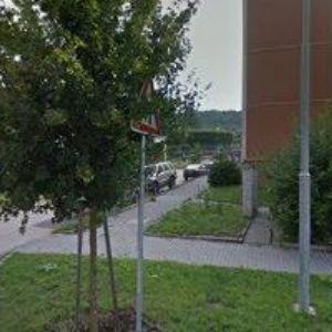 obrazek: avatar ŠIMOVÁ GERTRUDA