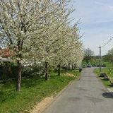 BRABENCOVÁ DÁŠA-D.B.STUDIO