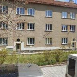 obrazek: avatar KOŠUT IGOR