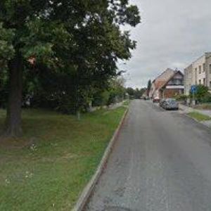 obrazek: avatar MANIFIC