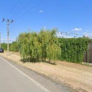 obrazek: avatar HŮLKOVÁ MICHAELA