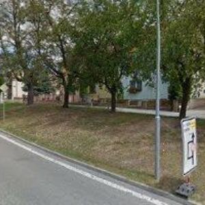 obrazek: avatar UŠELOVÁ KAMILA