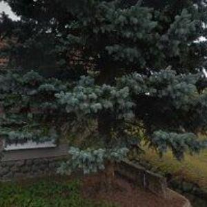 obrazek: avatar NIKA MASÁŽE