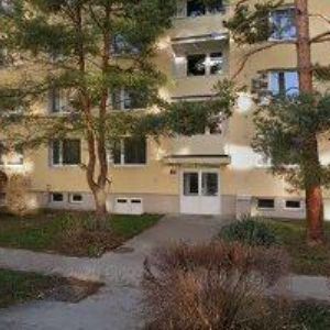 obrazek: avatar MASÁŽE JS