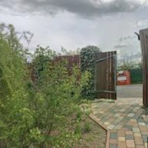 obrazek: avatar REHABILITACE SASYN