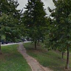 obrazek: avatar MASÁŽE SHANTI