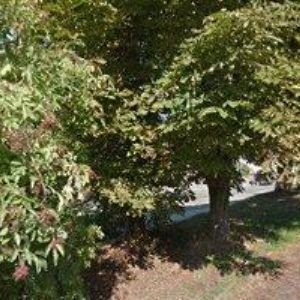 obrazek: avatar FYZIO HANKA