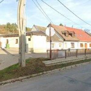 obrazek: avatar ZDRAVÍ S LENKOU