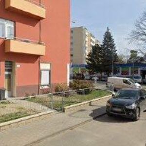 obrazek: avatar BERÁNEK SASCHA-MALÍŘSKÉ PRÁCE BRNO