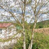 OBKLADAČSKÉ PRÁCE HOŠEK