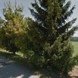 PROCHÁZKA VLASTIMIL