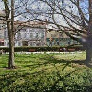 obrazek: avatar ADAUS REALITY