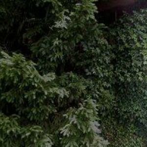 obrazek: avatar DĚTSKÝ DOMOV Tišnov