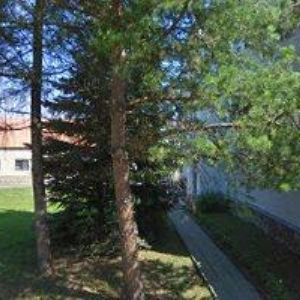 obrazek: avatar SOCIÁLNÍ SLUŽBY VYŠKOV