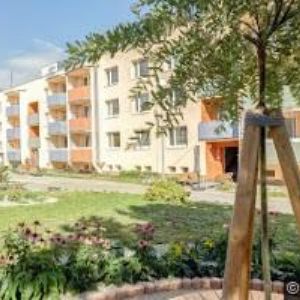 obrazek: avatar DOMOV PRO SENIORY FOLTÝNOVA