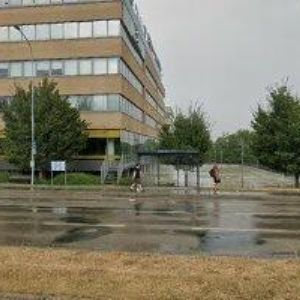 obrazek: avatar SPRÁVA HŘBITOVŮ MĚSTA BRNA