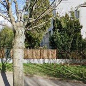 obrazek: avatar LÉKÁRNA ZELENÝ ANDĚL