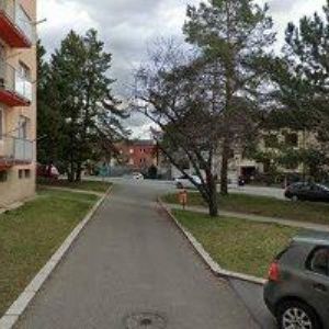 obrazek: avatar MAXIMO ÚKLIDY-KROŠČÁKOVÁ MIROSLAVA