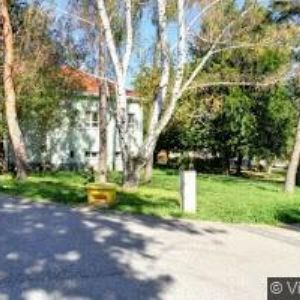 obrazek: avatar WELLNES GYRO