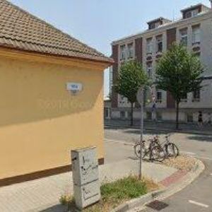 obrazek: avatar SAŠA JÓGA