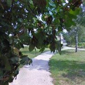 obrazek: avatar TJ LOKOMOTIVA Valtice, z.s.