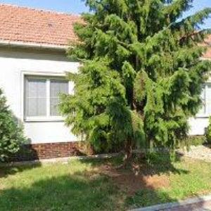 obrazek: avatar VRBOVÁ MARIE