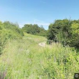 obrazek: avatar JEZDECKÝ KLUB RANČ LOUČKA