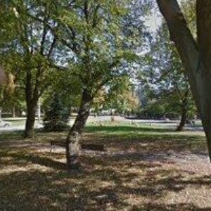 obrazek: avatar JEZDECKÝ KLUB IDEAS  z.s.