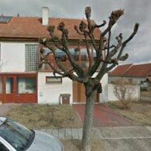 obrazek: avatar GAME-HALL.CZ