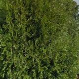 VHS-STAVBY VYŠKOV s.r.o.