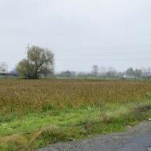 obrazek: avatar SIKA CZ, s.r.o.