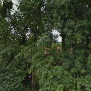 obrazek: avatar BOHRTRADE s.r.o.