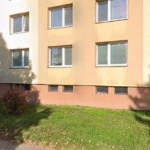 obrazek: avatar JEŽOVÁ ZDENKA