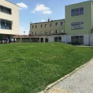 obrazek: avatar PROJEKT 11