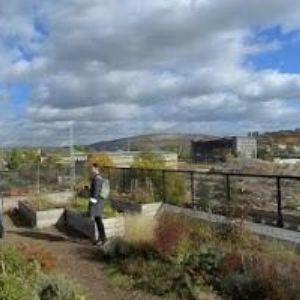 obrazek: avatar DADADISTRIKT s.r.o.