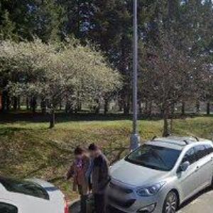 obrazek: avatar ZEZULA MILAN Ing.