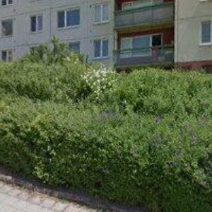 obrazek: avatar ARCHITECT & PARTNERS