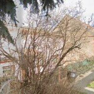 obrazek: avatar PLYNPROJEKT MB, spol. s r.o.