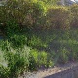 ŘÍMSKOKATOLICKÁ FARNOST Adamov