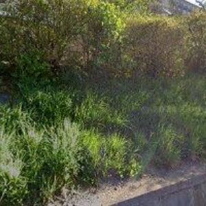 obrazek: avatar ŘÍMSKOKATOLICKÁ FARNOST Adamov