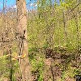 ŘÍMSKOKATOLICKÁ FARNOST Hluboké Mašůvky