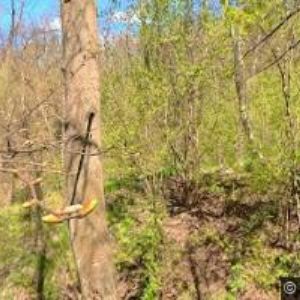 obrazek: avatar ŘÍMSKOKATOLICKÁ FARNOST Hluboké Mašůvky