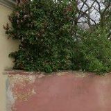 ŘÍMSKOKATOLICKÁ FARNOST Lančov