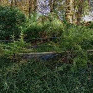 obrazek: avatar ŘÍMSKOKATOLICKÁ FARNOST Sebranice u Boskovic