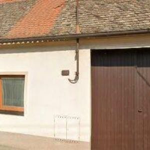 obrazek: avatar ČESKÝ SVAZ VČELAŘŮ, ZÁKLADNÍ ORGANIZACE Prosiměřice