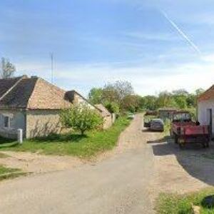 obrazek: avatar ČESKÝ SVAZ VČELAŘŮ, ZÁKLADNÍ ORGANIZACE Božice