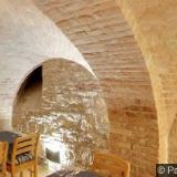 BIOSFÉRICKÁ REZERVACE DOLNÍ MORAVA o.p.s.