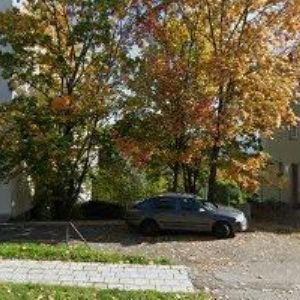 obrazek: avatar MORAVSKÝ RYBÁŘSKÝ SVAZ, MO Brno 3, o.s.