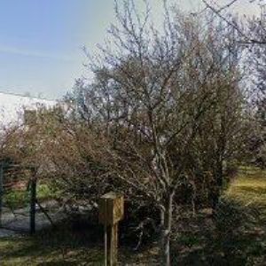 obrazek: avatar ZO ČESKÉHO ZAHRÁDKÁŘSKÉHO SVAZU Brno Moravanské Lány