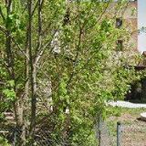 MORAVSKÝ RYBÁŘSKÝ SVAZ, MO Blansko